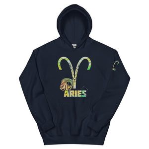 Aries Black Hoodie