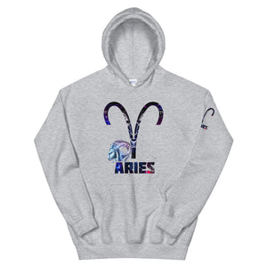 Aries Hoodie