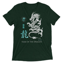 Load image into Gallery viewer, Year Of The Dragon t-shirt
