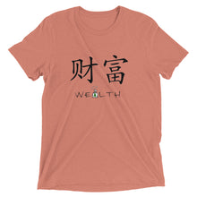 Load image into Gallery viewer, Wealth t-shirt