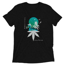 Load image into Gallery viewer, Smoking Flamingos t-shirt